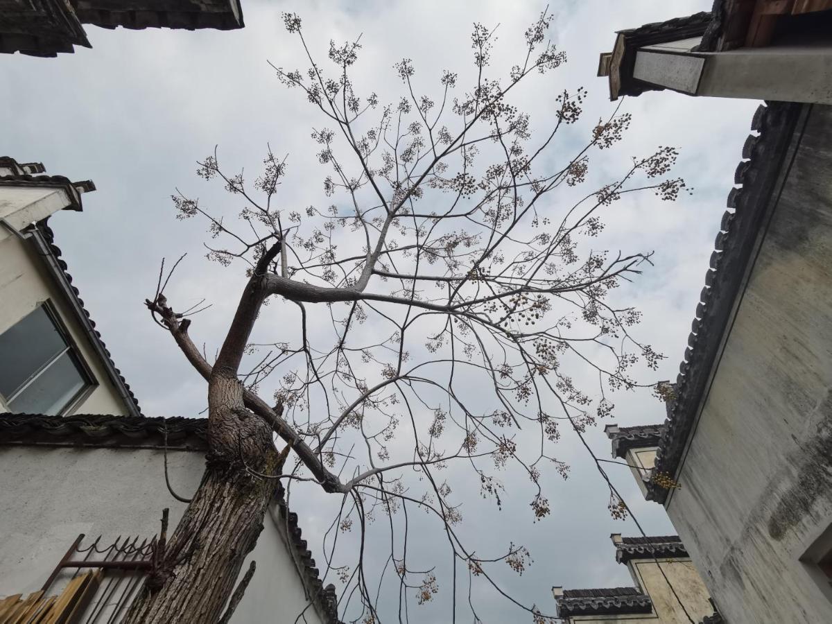 Xidi Kunlun International Hostel Yi (Anhui) Exterior photo